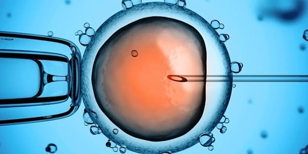 Tratamientos fecundación in vitro Valencia