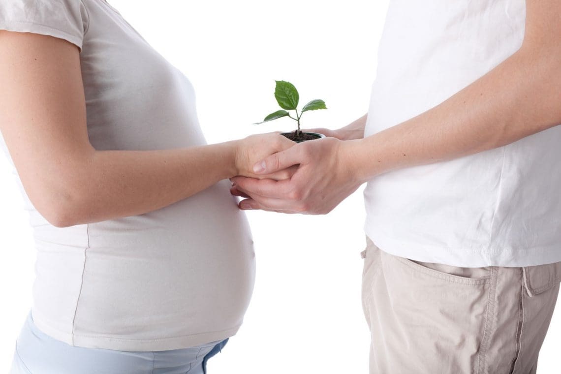 Tratamiento de fertilidad