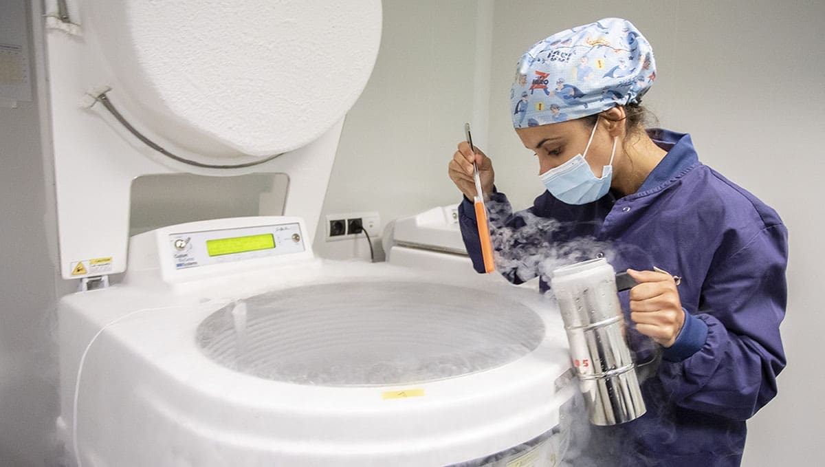 preservar la fertilidad