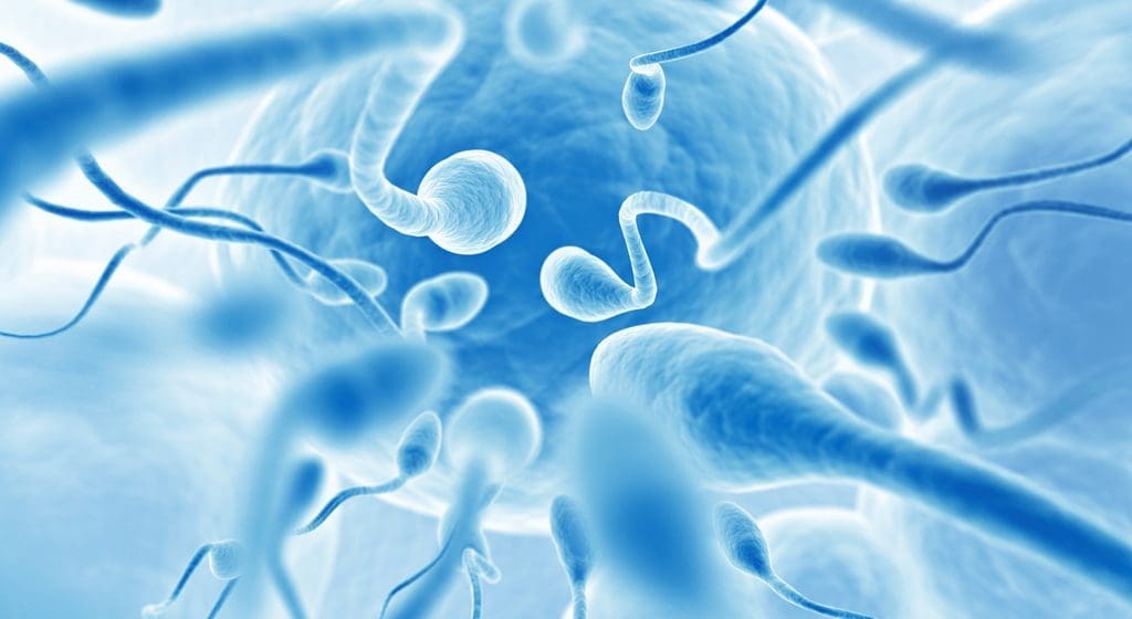 Qué es la aspermia: causas y tratamientos | Aspermia en hombres