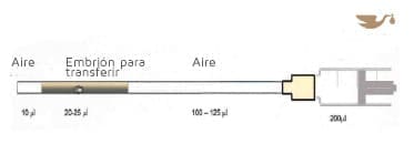 Cánula Transferencia Embrionaria