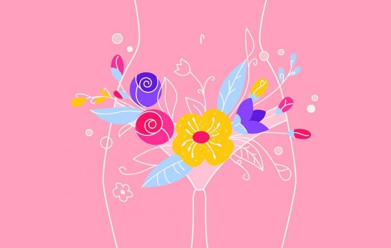 Ilustración del aparato reproductor femenino