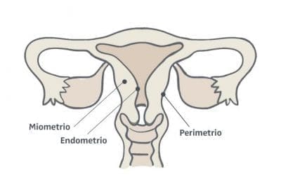 perimetrio